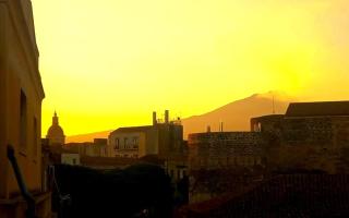 Fikus APT relax Castello Ursino - Catania - 9
