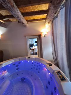 La maison SPA et PISCINE - Sainte-Valière - 6