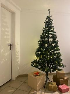 Apartments in Vienna suburbs - 40 min from Vienna city center - - 4