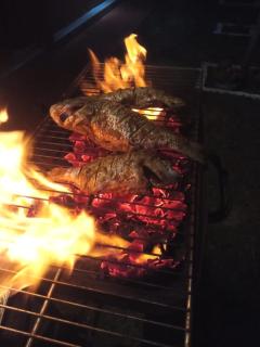 Greenbury Kite Hostel & Restaurant - 1