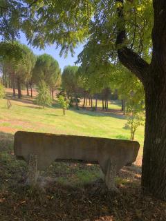Cascina De' Fagiolari - Lastra a Signa - 4