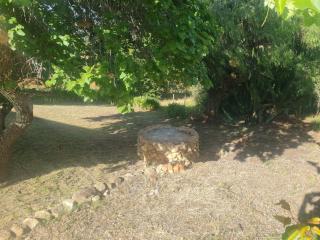 Landsrivier Farmstyle Cottage No 2 - Uniondale - 8