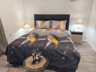 Sofy apartman - Niš - 8