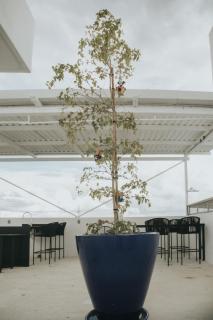 Loft Moderno Ejecutivo Amueblado - - 1