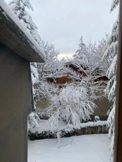 Appartamento immerso nel verde - 8