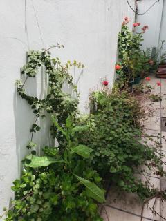 Casa Colibri - Mar del Plata - 4