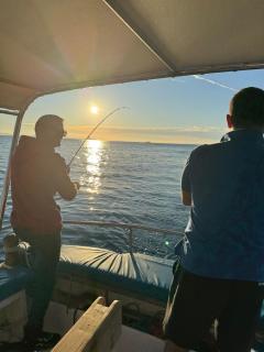 The White Donkey Apartment House - 8