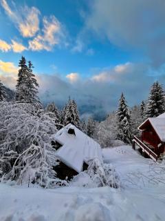 Chalet 14 personnes Alpe d Huez - Oz - 8