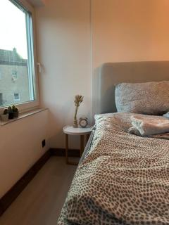 Flamingo 1 - Traumhaftes Wohnen mit Terrasse - zentral und stilvoll - Düren - 4