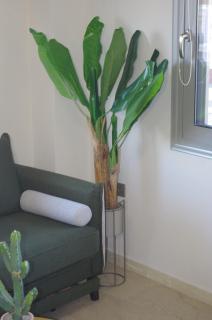 sweet suite - Mesolongion - 8