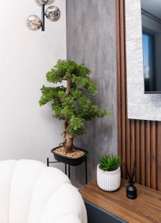Micro-Luxurious Apartment in Cape Town CBD - 3