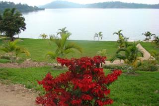 PALEGA BEACH INN - - 9