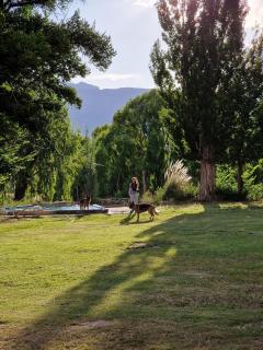 Hosteria Uspallata - 5