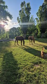 Hosteria Uspallata - 8