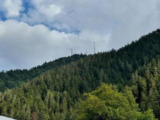 Your Cottage - Borjomi - 3