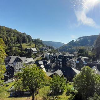 Lauschablick FeWo Thüringen - Lauscha - 8