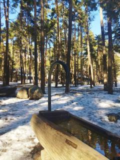 Ski runs - Sweet Vintage Home - Bardonecchia - 2