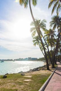 Apartamento Beira Mar Pajuçara - Maceió - 5