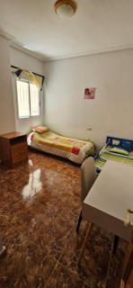 Ideal Vacacion Apartament ARN - Torrevieja - 6