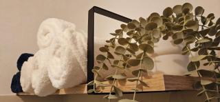 Fresh Cotton, 5mn from ZooParc de Beauval - Saint-Aignan - 2