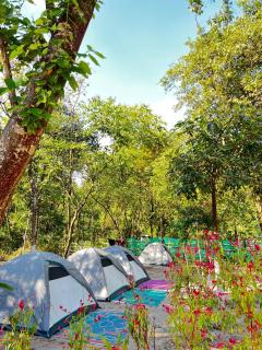 Rapsyngkremcampsite - Mawlynnong - 0