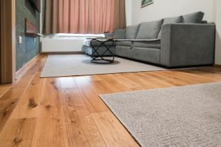 Apartmani Jovičić Kopaonik - 1