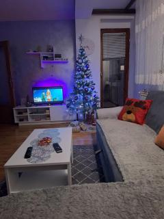 Apartman 19 - Pale - 9