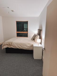 Modern and Spacious 2 bedroom Flat in Streatham - Londra - 3