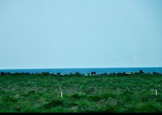 TULUM Beautiful Studio minutes from the Beach - 1