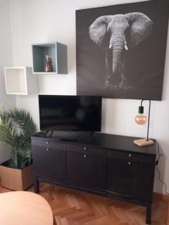 Apartamento Amazónico en Aranjuez - 0