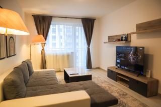 LZR - Apartment 45 - Brasov - 9