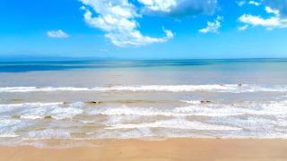Flamingos in Flip-Flops - Surfside Beach - 1
