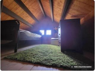 Shelley' Bay Bunkie 1 - Sharbot Lake - 4