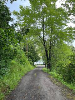 Shelley' Bay Bunkie 1 - 4