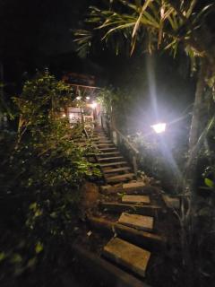 Casa da Árvore II - Florianópolis - 4