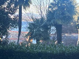 Villa Santa Chiara Lesa - appartamento vista lago con piscina - 3