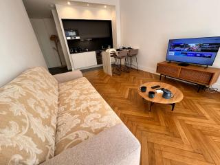 Luxury Central Condo with Private Terrace in Nice - 2
