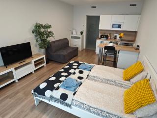 Comfort flat with great location - Prague - 5