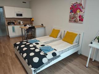 Comfort flat with great location - Prague - 2