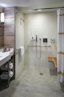 Auburn Hills Marriott Pontiac - 4