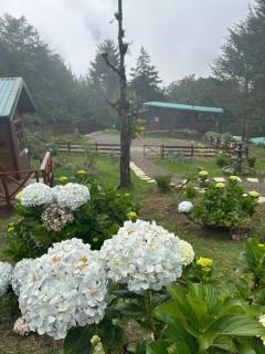 Curuba Lodge - Copey - 6