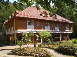 Kurpark Flair Hotel Im Ilsetal - 0