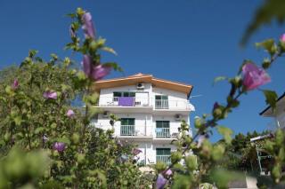 Apartments Gloria - Gradac - 3