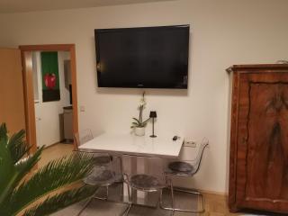 Graz! Ruhe an der Mur - zentral - 3