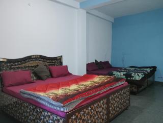 Dog n Hill - Kasol - 1