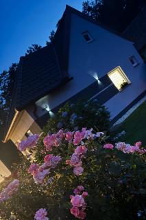 Apartment Pohorje Sun - Entire house - 1