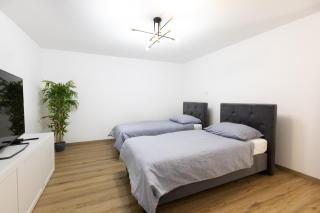 Apartment Pohorje Sun - Entire house - 4