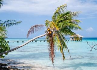 Sunset Hill Lodge - Bora Bora - 0