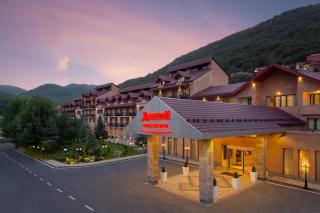 Tsaghkadzor Marriott Hotel - Tsaghkadzor - 8