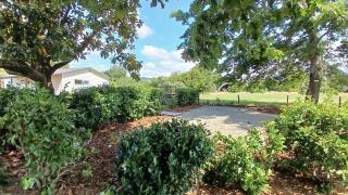 THE GUEST HOUSE - Awakeri modern country cottage - 5